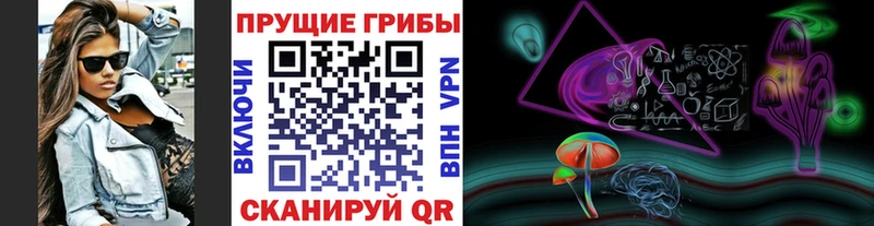 купить закладку  Качканар  Галлюциногенные грибы Magic Shrooms 