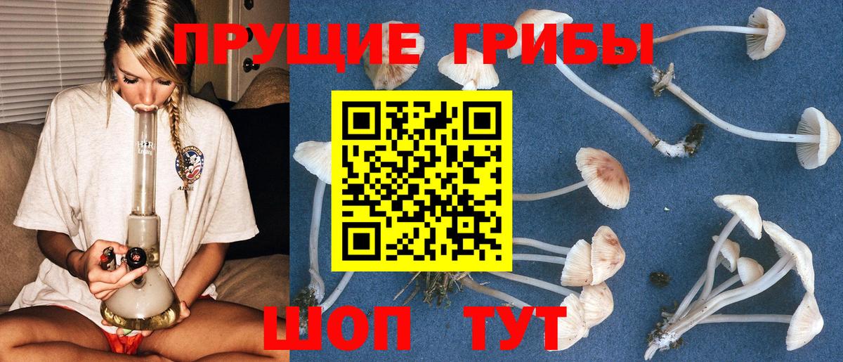 Галлюциногенные грибы мицелий  Вход с VPN  Качканар 