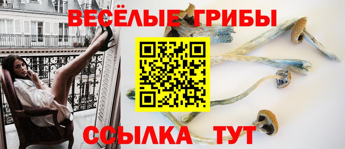 Псилоцибиновые грибы Psilocybe Качканар
