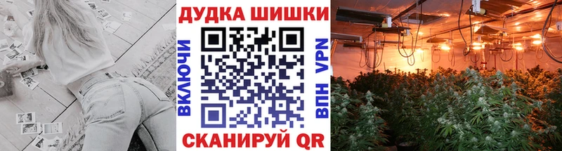 дарнет шоп  Качканар  Канабис план 